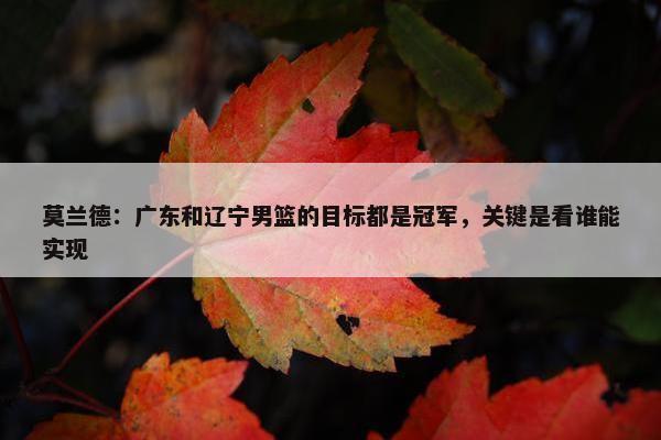 莫兰德：广东和辽宁男篮的目标都是冠军，关键是看谁能实现