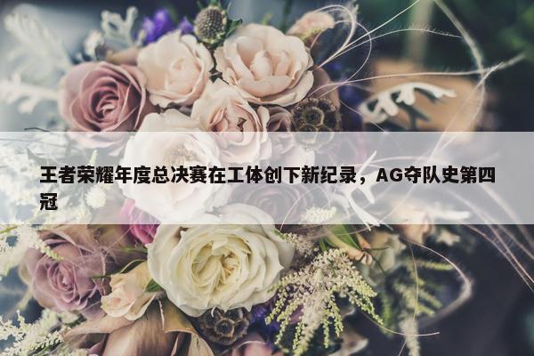 王者荣耀年度总决赛在工体创下新纪录，AG夺队史第四冠