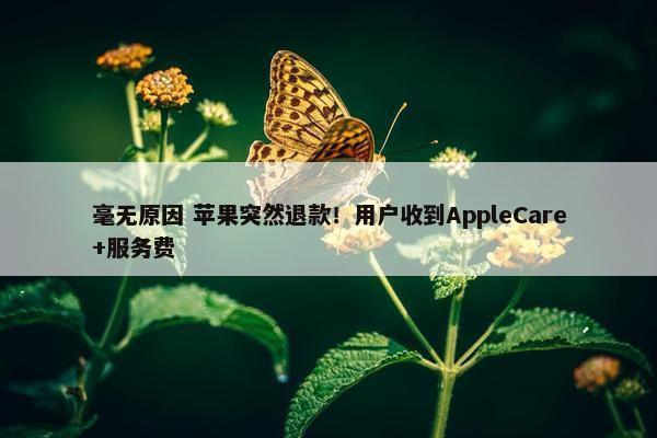 毫无原因 苹果突然退款！用户收到AppleCare+服务费