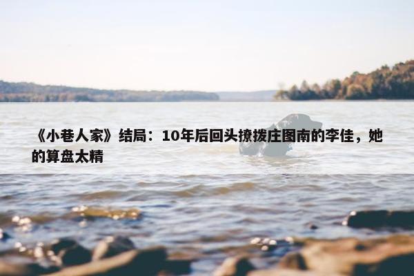 《小巷人家》结局：10年后回头撩拨庄图南的李佳，她的算盘太精