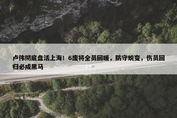 卢伟彻底盘活上海！6废将全员回暖，防守蜕变，伤员回归必成黑马