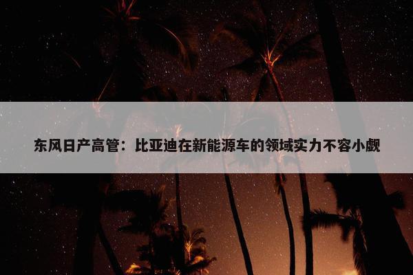 东风日产高管：比亚迪在新能源车的领域实力不容小觑