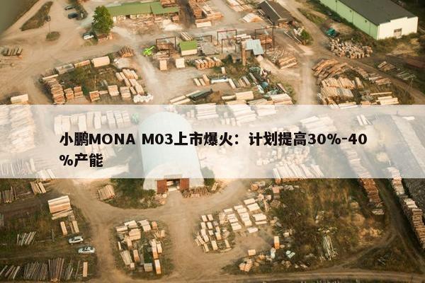 小鹏MONA M03上市爆火：计划提高30%-40%产能