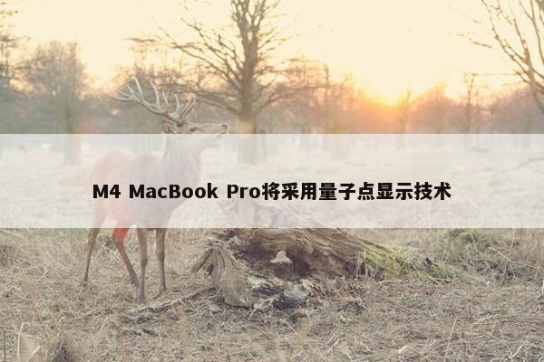 M4 MacBook Pro将采用量子点显示技术