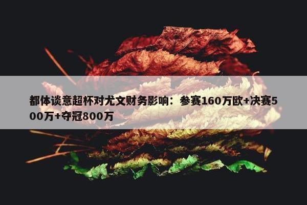 都体谈意超杯对尤文财务影响：参赛160万欧+决赛500万+夺冠800万