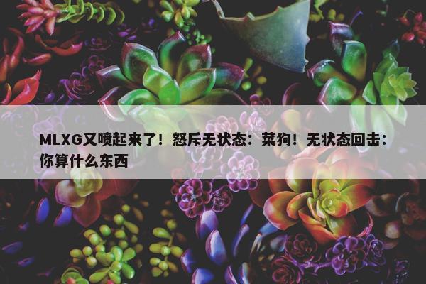 MLXG又喷起来了！怒斥无状态：菜狗！无状态回击：你算什么东西