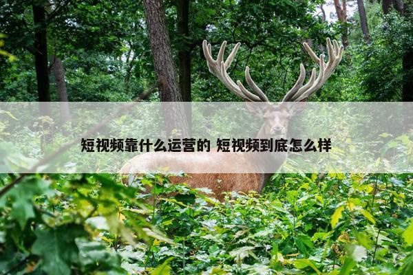 短视频靠什么运营的 短视频到底怎么样