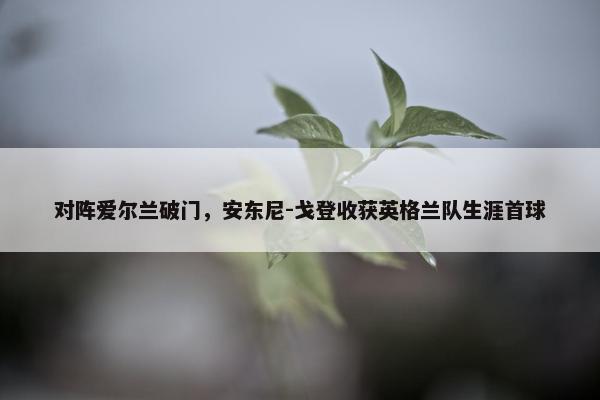 对阵爱尔兰破门，安东尼-戈登收获英格兰队生涯首球