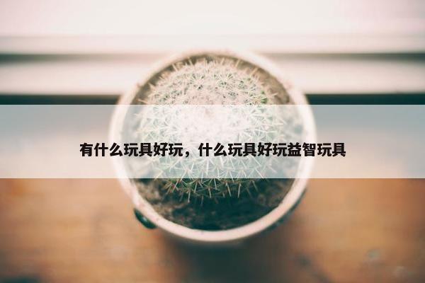 有什么玩具好玩，什么玩具好玩益智玩具