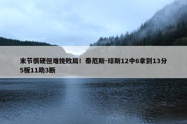 末节很硬但难挽败局！泰厄斯-琼斯12中6拿到13分5板11助3断