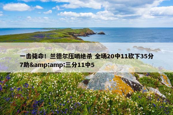 一击毙命！兰德尔压哨绝杀 全场20中11砍下35分7助&amp;三分11中5