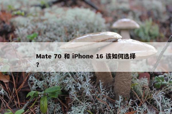 Mate 70 和 iPhone 16 该如何选择？