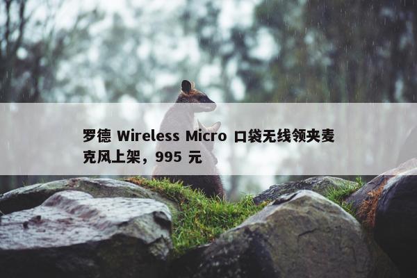 罗德 Wireless Micro 口袋无线领夹麦克风上架，995 元