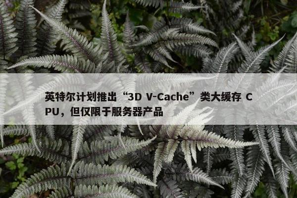 英特尔计划推出“3D V-Cache”类大缓存 CPU，但仅限于服务器产品