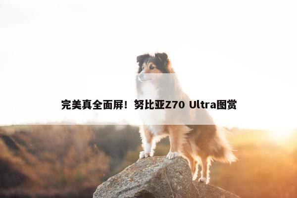 完美真全面屏！努比亚Z70 Ultra图赏