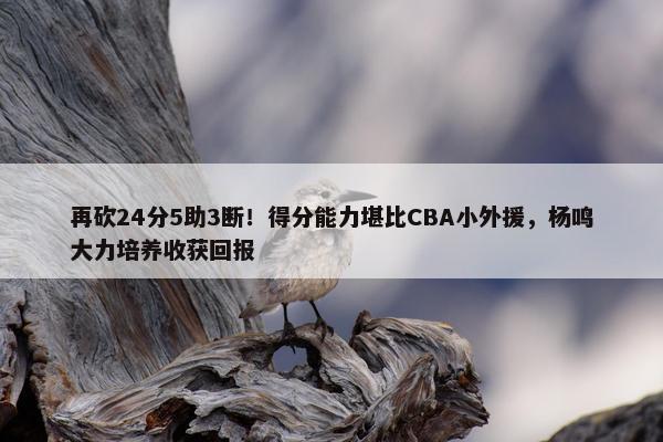 再砍24分5助3断！得分能力堪比CBA小外援，杨鸣大力培养收获回报