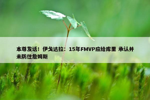 本尊发话！伊戈达拉：15年FMVP应给库里 承认并未防住詹姆斯