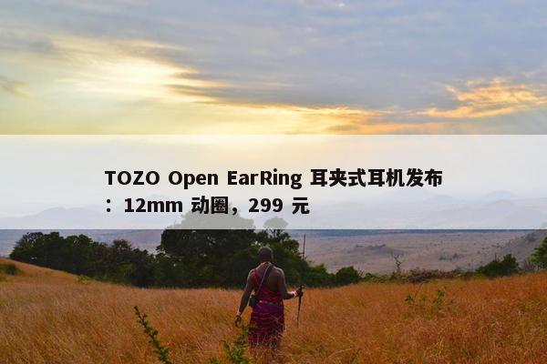 TOZO Open EarRing 耳夹式耳机发布：12mm 动圈，299 元