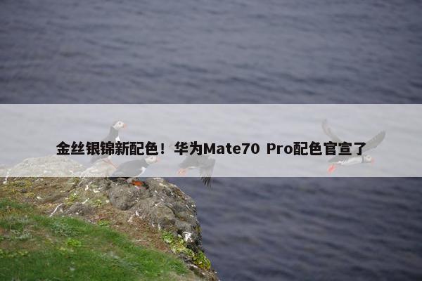 金丝银锦新配色！华为Mate70 Pro配色官宣了