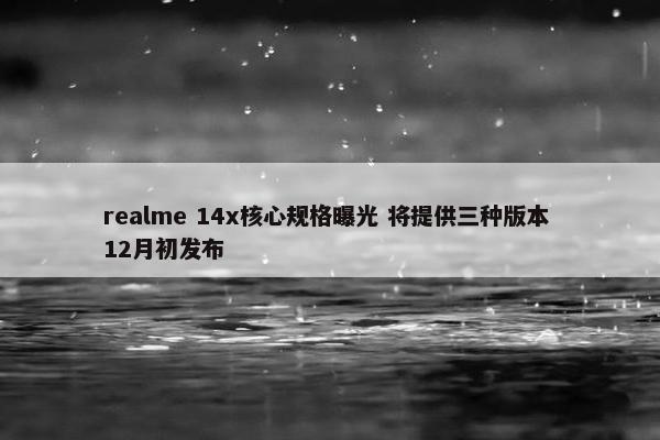 realme 14x核心规格曝光 将提供三种版本 12月初发布