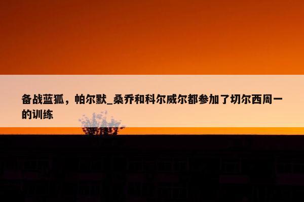 备战蓝狐，帕尔默_桑乔和科尔威尔都参加了切尔西周一的训练