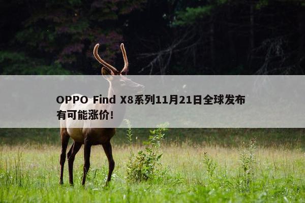 OPPO Find X8系列11月21日全球发布 有可能涨价！