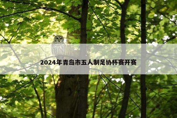 2024年青岛市五人制足协杯赛开赛