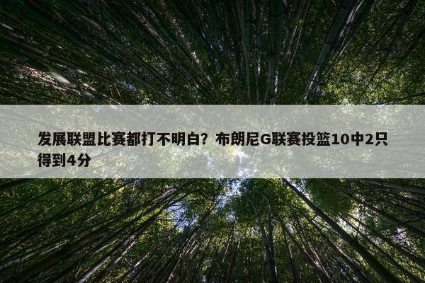 发展联盟比赛都打不明白？布朗尼G联赛投篮10中2只得到4分