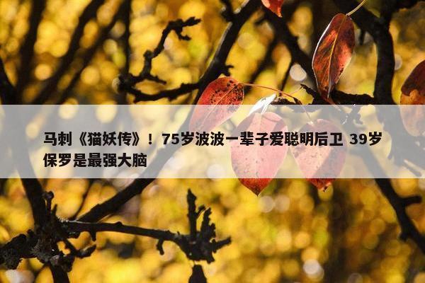 马刺《猫妖传》！75岁波波一辈子爱聪明后卫 39岁保罗是最强大脑