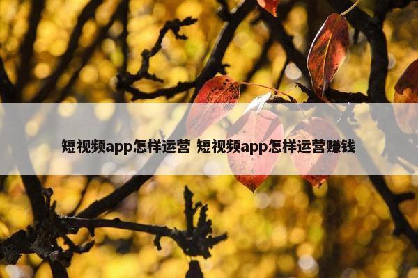 短视频app怎样运营 短视频app怎样运营赚钱