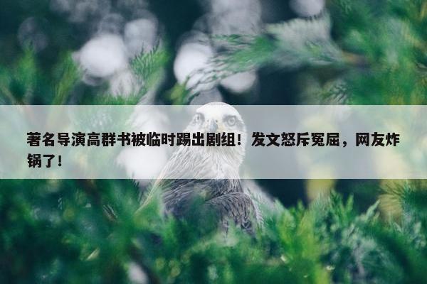 著名导演高群书被临时踢出剧组！发文怒斥冤屈，网友炸锅了！