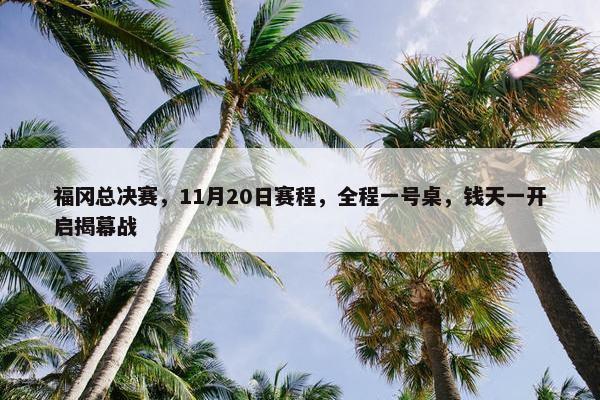 福冈总决赛，11月20日赛程，全程一号桌，钱天一开启揭幕战