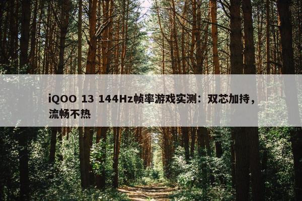 iQOO 13 144Hz帧率游戏实测：双芯加持，流畅不热