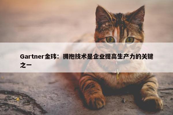 Gartner金玮：拥抱技术是企业提高生产力的关键之一