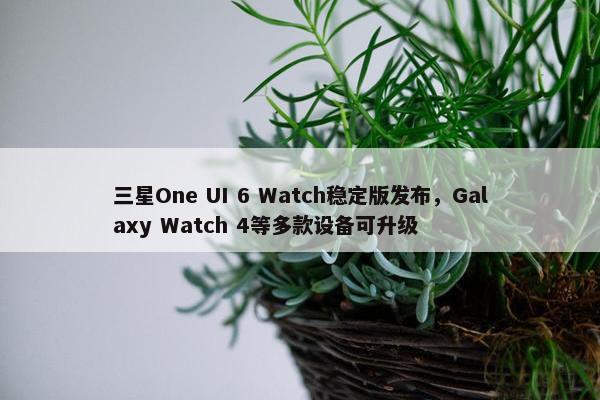 三星One UI 6 Watch稳定版发布，Galaxy Watch 4等多款设备可升级