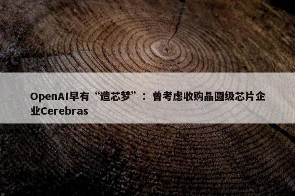 OpenAI早有“造芯梦”：曾考虑收购晶圆级芯片企业Cerebras