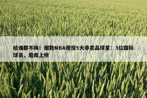 给谁都不换！细数NBA现役5大非卖品球星：3位国际球员，詹库上榜