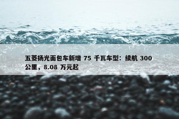 五菱扬光面包车新增 75 千瓦车型：续航 300 公里，8.08 万元起