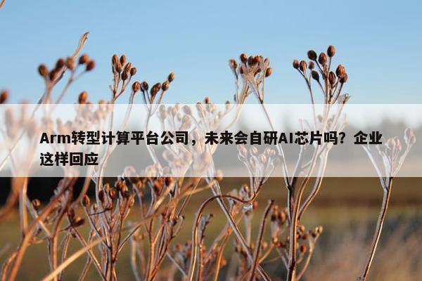 Arm转型计算平台公司，未来会自研AI芯片吗？企业这样回应