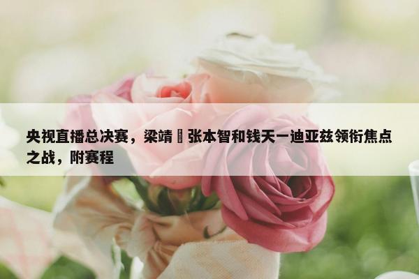 央视直播总决赛，梁靖崑张本智和钱天一迪亚兹领衔焦点之战，附赛程