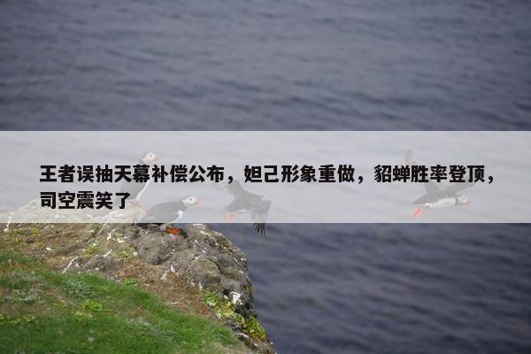 王者误抽天幕补偿公布，妲己形象重做，貂蝉胜率登顶，司空震笑了