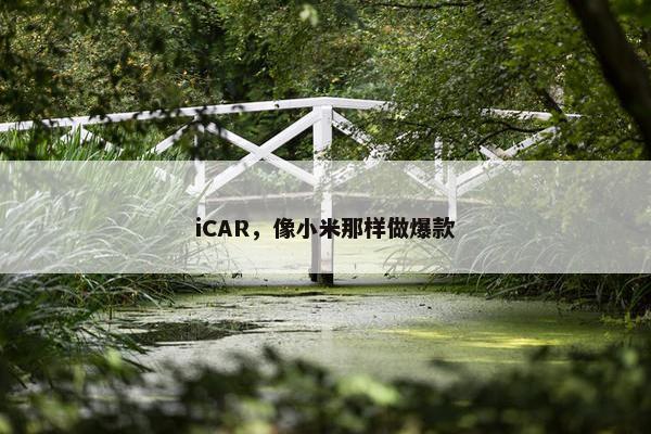 iCAR，像小米那样做爆款