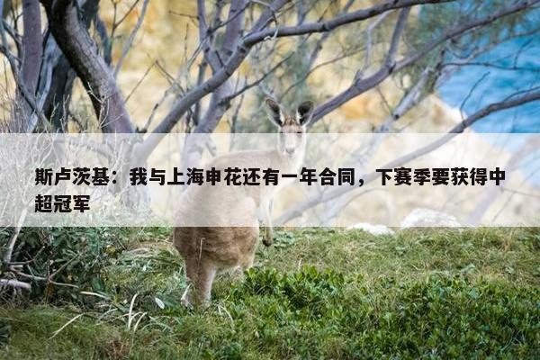 斯卢茨基：我与上海申花还有一年合同，下赛季要获得中超冠军