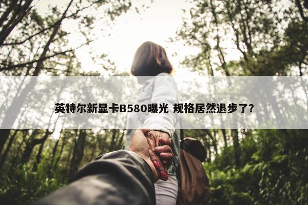 英特尔新显卡B580曝光 规格居然退步了？