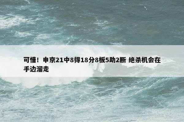 可惜！申京21中8得18分8板5助2断 绝杀机会在手边溜走