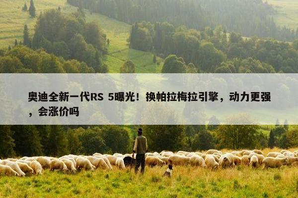 奥迪全新一代RS 5曝光！换帕拉梅拉引擎，动力更强，会涨价吗