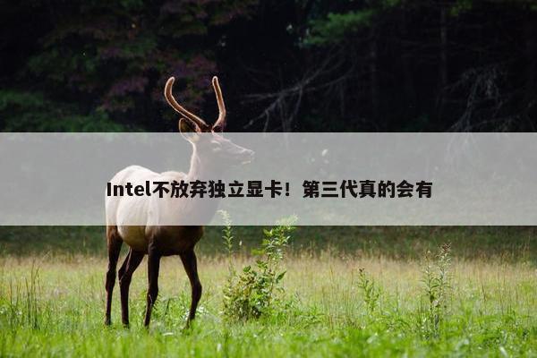 Intel不放弃独立显卡！第三代真的会有