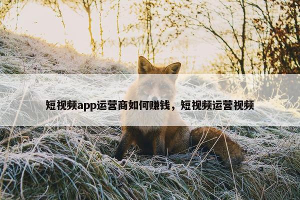 短视频app运营商如何赚钱，短视频运营视频