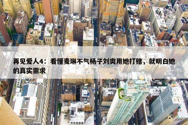 再见爱人4：看懂麦琳不气杨子刘爽用她打赌，就明白她的真实需求