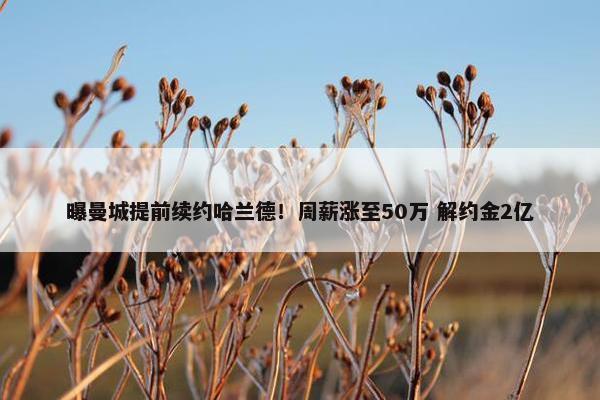 曝曼城提前续约哈兰德！周薪涨至50万 解约金2亿